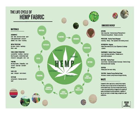  Hemp Lifesaving Properties and Applications in Sustainable Textile Production!